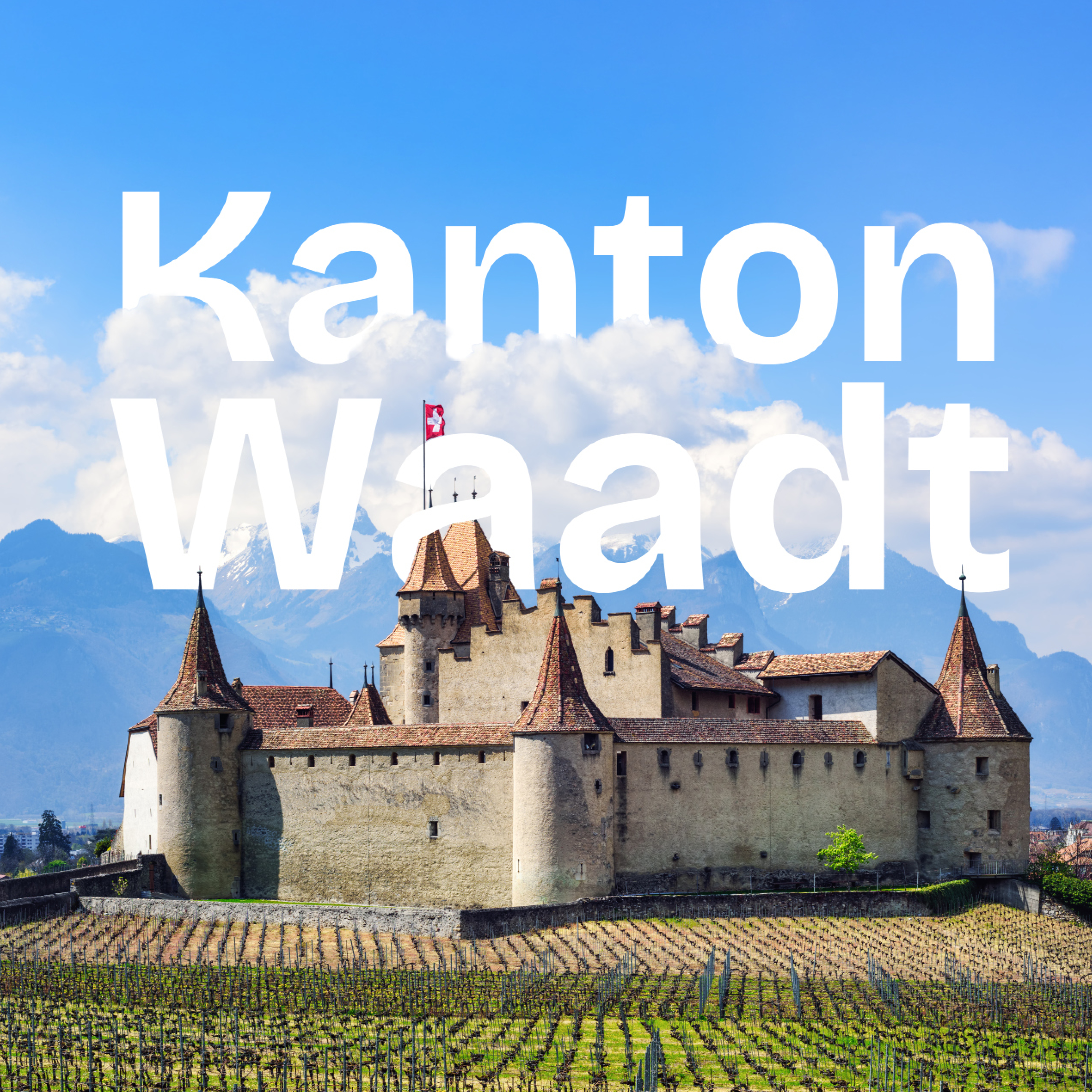 alt visuel custom Kanton Waadt